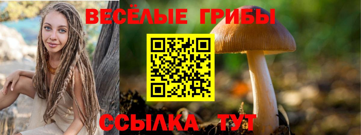 Галлюциногенные грибы мицелий  Вход с VPN  Скопин 